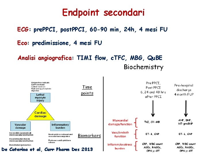 Endpoint secondari ECG: pre. PPCI, post. PPCI, 60 -90 min, 24 h, 4 mesi