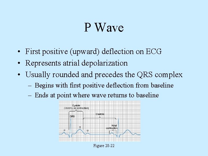 P Wave • First positive (upward) deflection on ECG • Represents atrial depolarization •