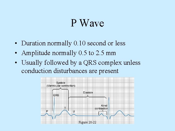 P Wave • Duration normally 0. 10 second or less • Amplitude normally 0.