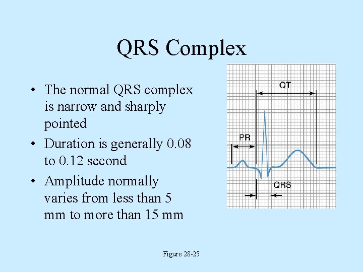 QRS Complex • The normal QRS complex is narrow and sharply pointed • Duration