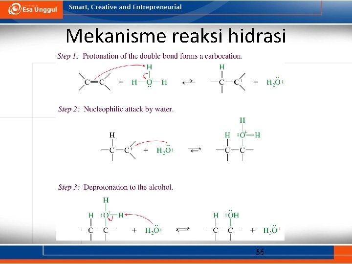 Mekanisme reaksi hidrasi 56 