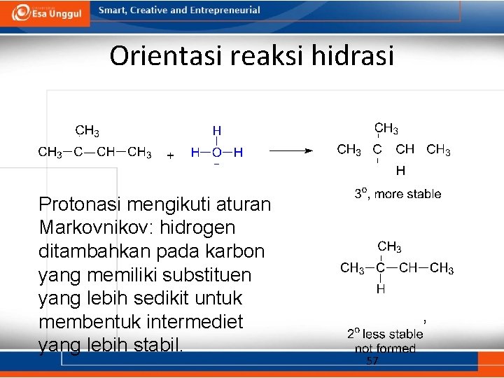 Orientasi reaksi hidrasi Protonasi mengikuti aturan Markovnikov: hidrogen ditambahkan pada karbon yang memiliki substituen