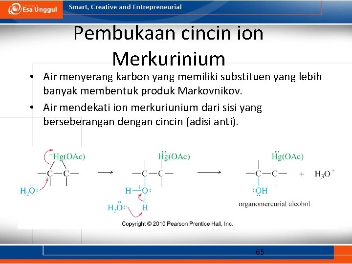 Pembukaan cincin ion Merkurinium • Air menyerang karbon yang memiliki substituen yang lebih banyak