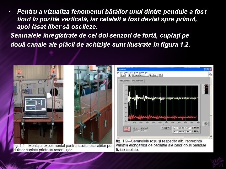  • Pentru a vizualiza fenomenul bătăilor unul dintre pendule a fost tinut în