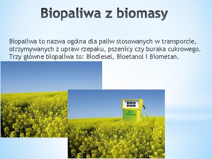 Biopaliwa to nazwa ogólna dla paliw stosowanych w transporcie, otrzymywanych z upraw rzepaku, pszenicy