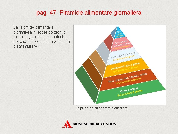 pag. 47 Piramide alimentare giornaliera La piramide alimentare giornaliera indica le porzioni di ciascun pag. 47 Piramide alimentare giornaliera La piramide alimentare giornaliera indica le porzioni di ciascun