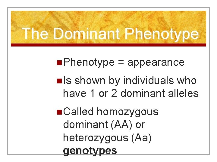 The Dominant Phenotype n Phenotype = appearance n Is shown by individuals who have