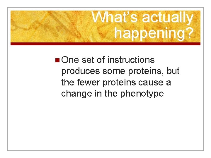 What’s actually happening? n One set of instructions produces some proteins, but the fewer