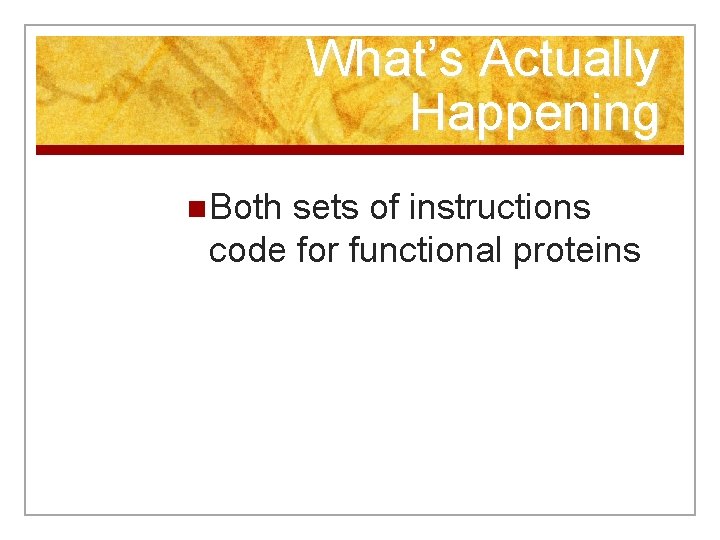 What’s Actually Happening n Both sets of instructions code for functional proteins 