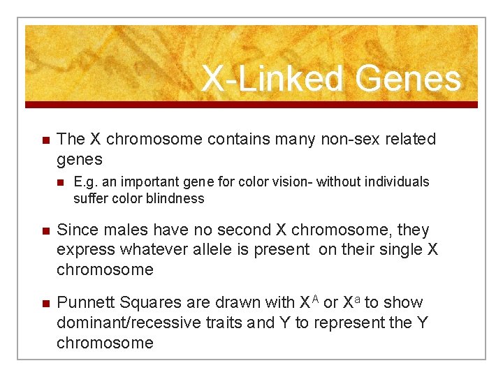 X-Linked Genes n The X chromosome contains many non-sex related genes n E. g.