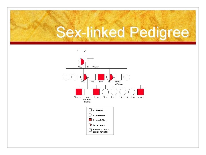 Sex-linked Pedigree 