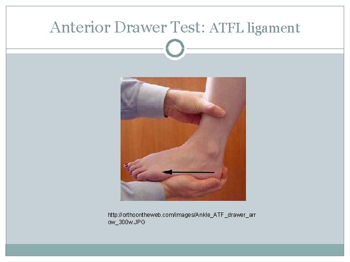 Anterior Drawer Test: ATFL ligament http: //orthoontheweb. com/images/Ankle_ATF_drawer_arr ow_300 w. JPG 
