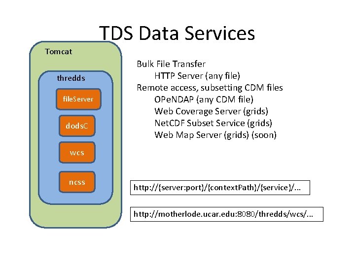 TDS Data Services Tomcat thredds file. Server dods. C Bulk File Transfer HTTP Server