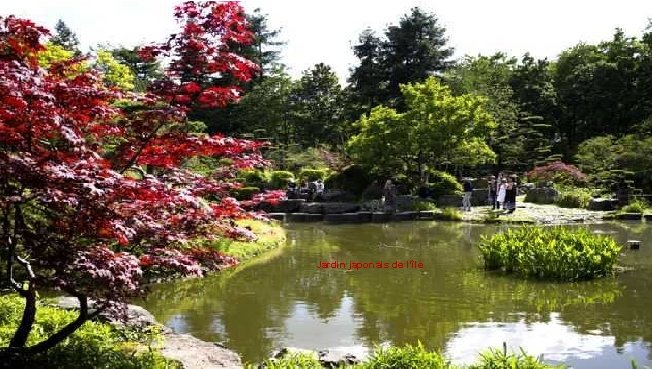 Jardin japonais de l’île 
