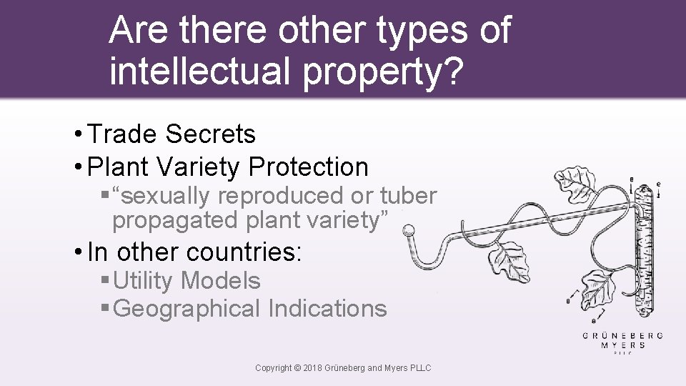 Are there other types of intellectual property? • Trade Secrets • Plant Variety Protection