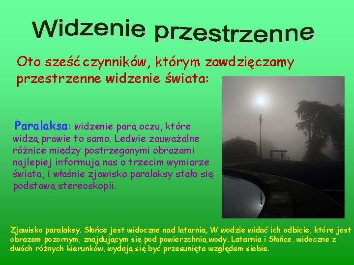 Oto sześć czynników, którym zawdzięczamy przestrzenne widzenie świata: Paralaksa: widzenie parą oczu, które widzą