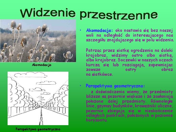  • Patrząc przez siatkę ogrodzenia na daleki krajobraz, widzimy ostro albo siatkę, albo