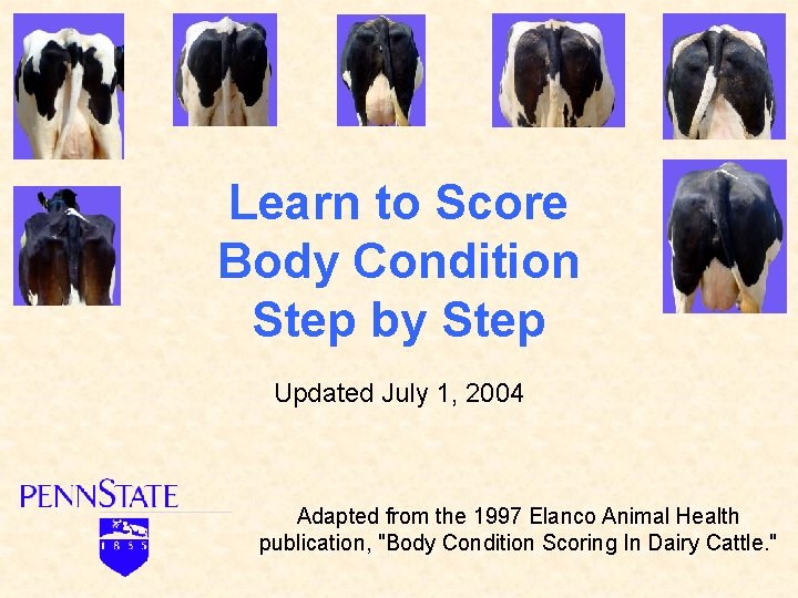 Learn to Score Body Condition Step by Step Updated July 1, 2004 Adapted from