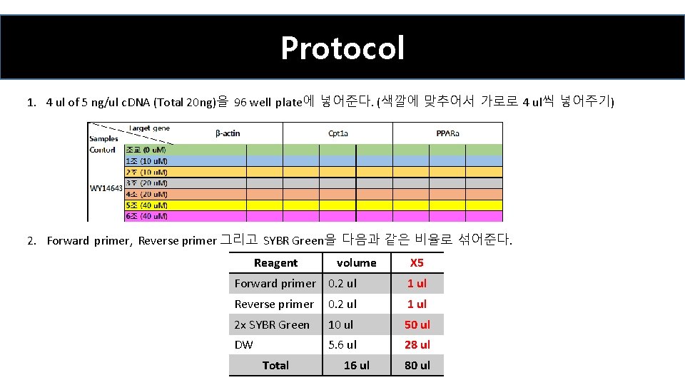 Protocol 1. 4 ul of 5 ng/ul c. DNA (Total 20 ng)을 96 well
