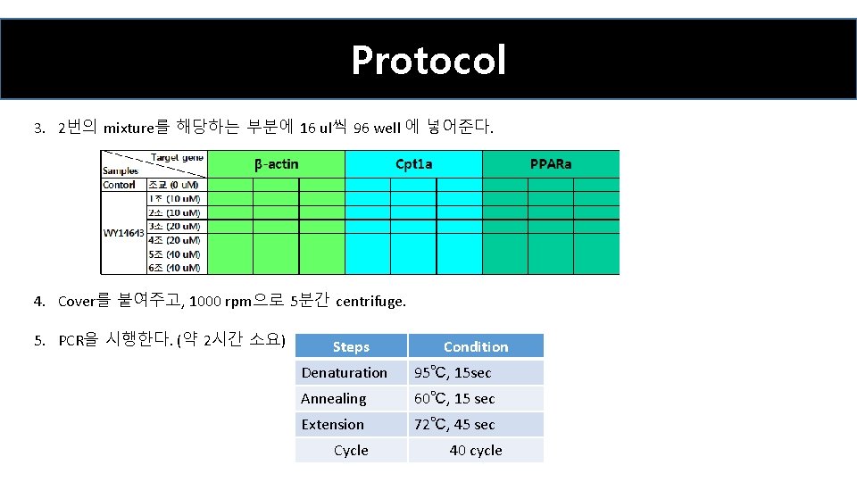 Protocol 3. 2번의 mixture를 해당하는 부분에 16 ul씩 96 well 에 넣어준다. 4. Cover를