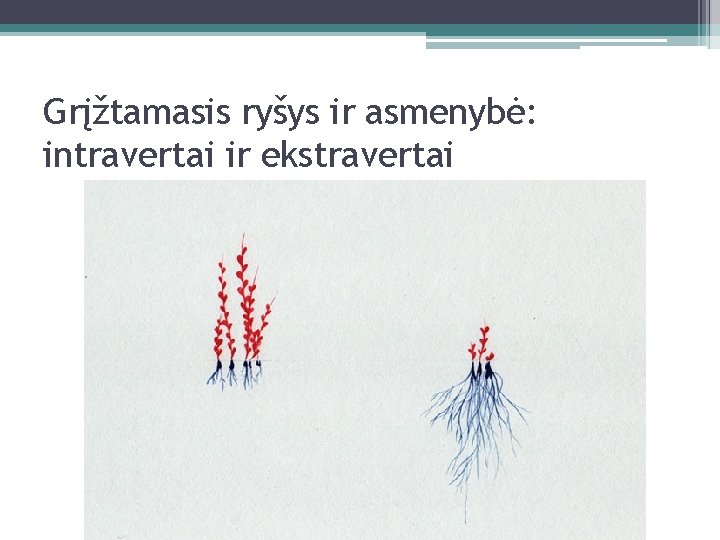 Grįžtamasis ryšys ir asmenybė: intravertai ir ekstravertai 