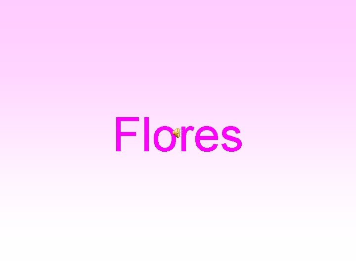 Flores 