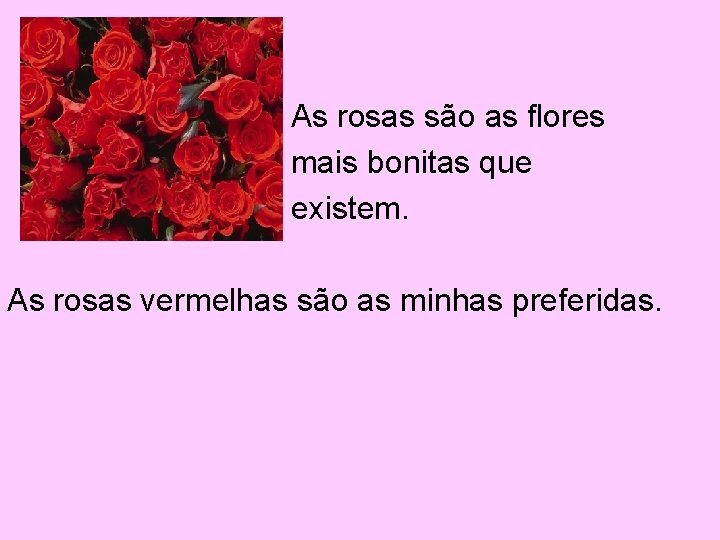 As rosas são as flores mais bonitas que existem. As rosas vermelhas são as
