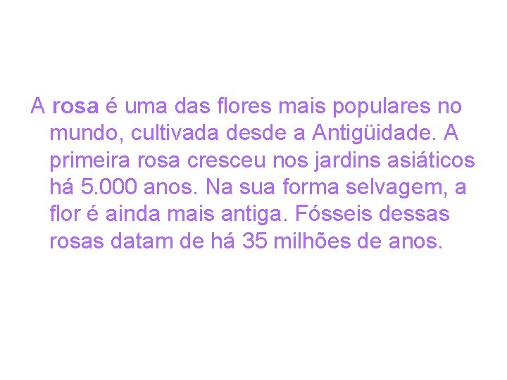 A rosa é uma das flores mais populares no mundo, cultivada desde a Antigüidade.