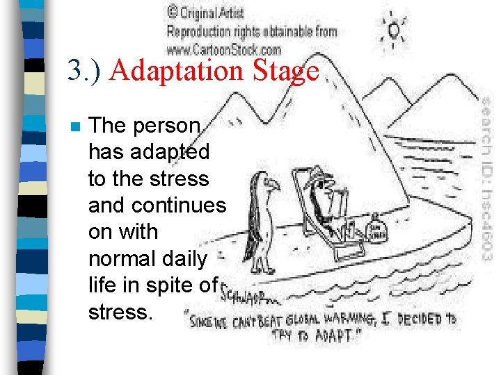 3. ) Adaptation Stage n The person has adapted to the stress and continues