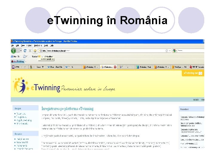 e. Twinning în România 