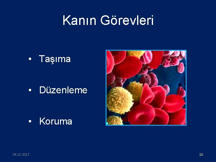 Kanın Görevleri • Taşıma • Düzenleme • Koruma 04. 10. 2017 10 