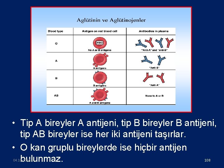  • Tip A bireyler A antijeni, tip B bireyler B antijeni, tip AB