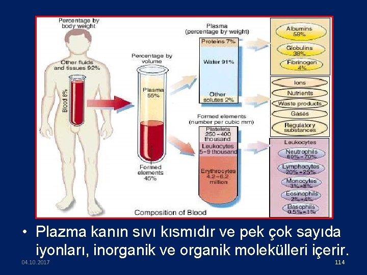  • Plazma kanın sıvı kısmıdır ve pek çok sayıda iyonları, inorganik ve organik