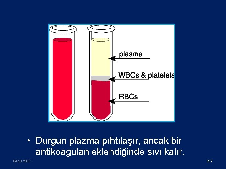  • Durgun plazma pıhtılaşır, ancak bir antikoagulan eklendiğinde sıvı kalır. 04. 10. 2017