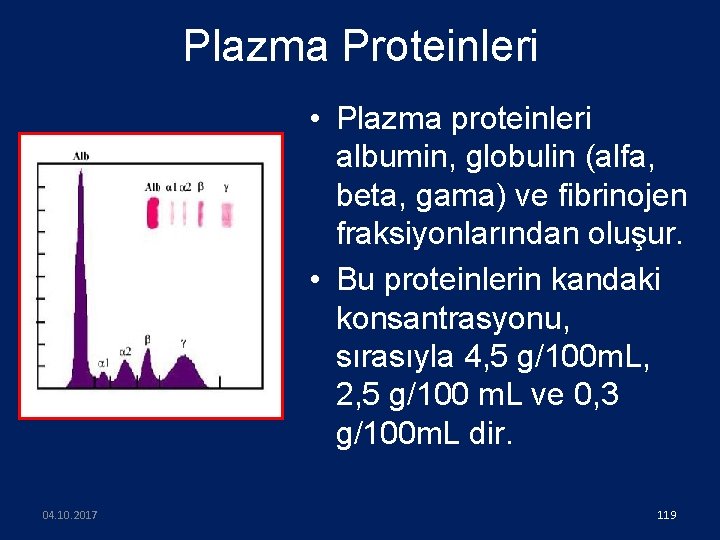 Plazma Proteinleri • Plazma proteinleri albumin, globulin (alfa, beta, gama) ve fibrinojen fraksiyonlarından oluşur.