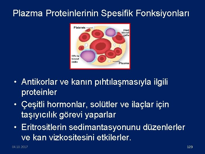 Plazma Proteinlerinin Spesifik Fonksiyonları • Antikorlar ve kanın pıhtılaşmasıyla ilgili proteinler • Çeşitli hormonlar,