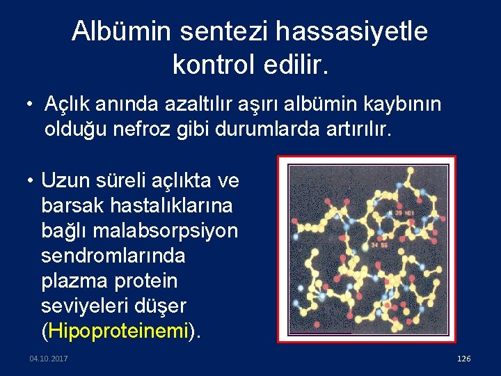 Albümin sentezi hassasiyetle kontrol edilir. • Açlık anında azaltılır aşırı albümin kaybının olduğu nefroz