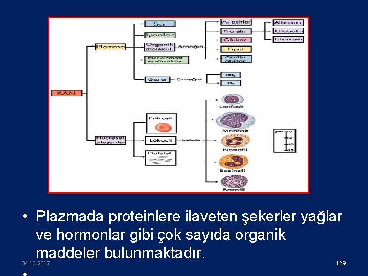  • Plazmada proteinlere ilaveten şekerler yağlar ve hormonlar gibi çok sayıda organik maddeler