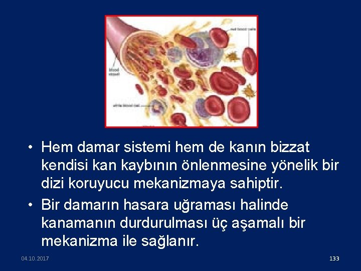  • Hem damar sistemi hem de kanın bizzat kendisi kan kaybının önlenmesine yönelik