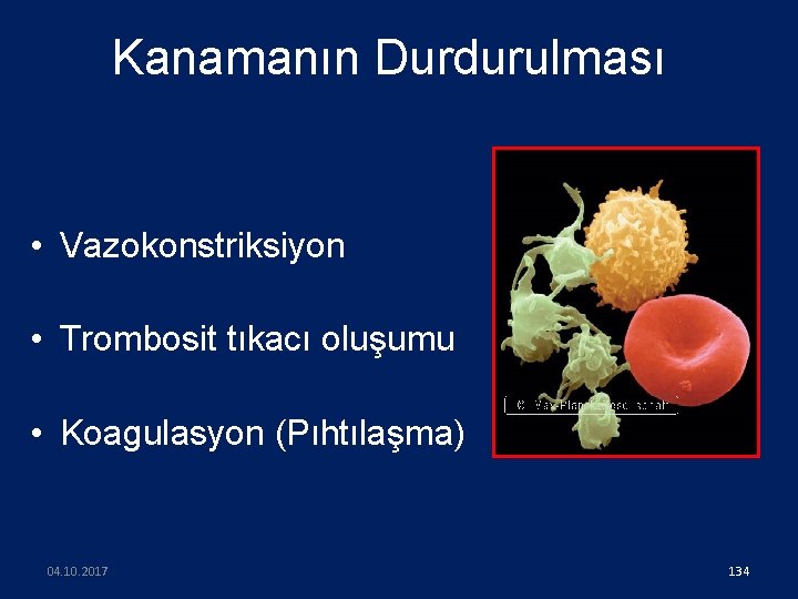 Kanamanın Durdurulması • Vazokonstriksiyon • Trombosit tıkacı oluşumu • Koagulasyon (Pıhtılaşma) 04. 10. 2017