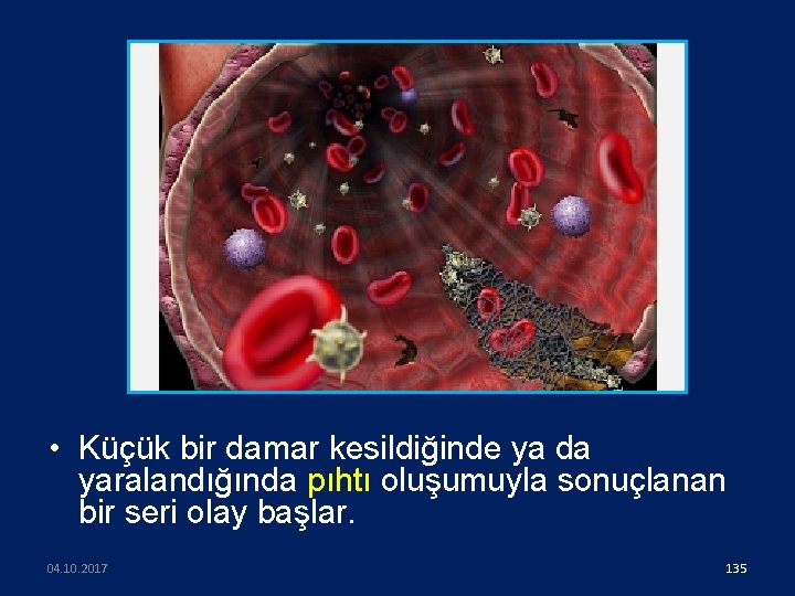  • Küçük bir damar kesildiğinde ya da yaralandığında pıhtı oluşumuyla sonuçlanan bir seri