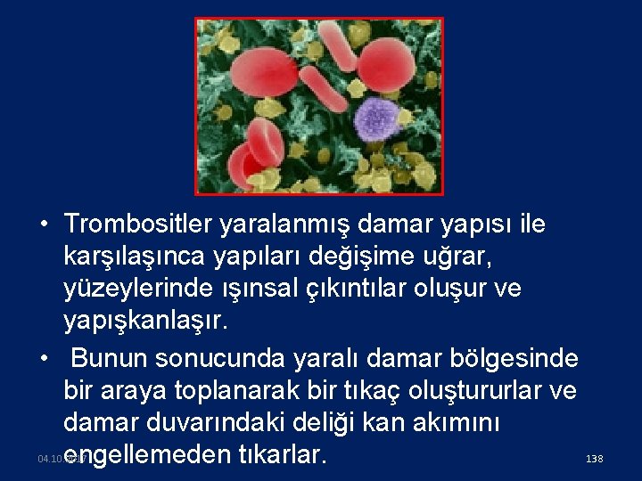  • Trombositler yaralanmış damar yapısı ile karşılaşınca yapıları değişime uğrar, yüzeylerinde ışınsal çıkıntılar
