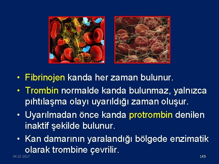  • Fibrinojen kanda her zaman bulunur. • Trombin normalde kanda bulunmaz, yalnızca pıhtılaşma