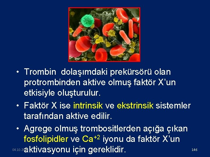  • Trombin dolaşımdaki prekürsörü olan protrombinden aktive olmuş faktör X’un etkisiyle oluşturulur. •