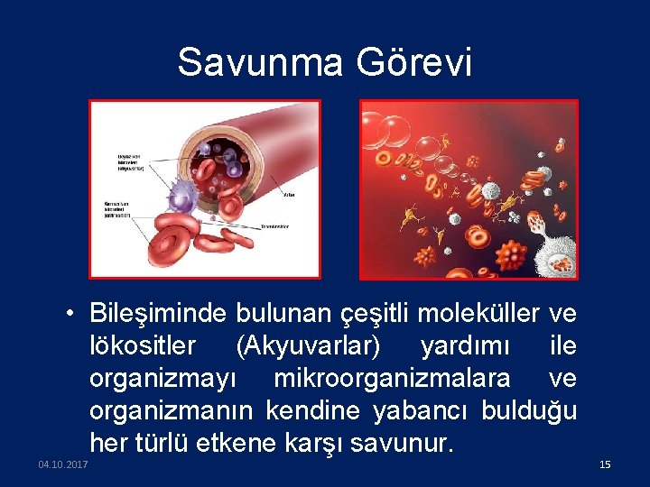 Savunma Görevi • Bileşiminde bulunan çeşitli moleküller ve lökositler (Akyuvarlar) yardımı ile organizmayı mikroorganizmalara