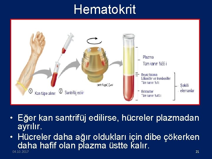 Hematokrit • Eğer kan santrifüj edilirse, hücreler plazmadan ayrılır. • Hücreler daha ağır oldukları
