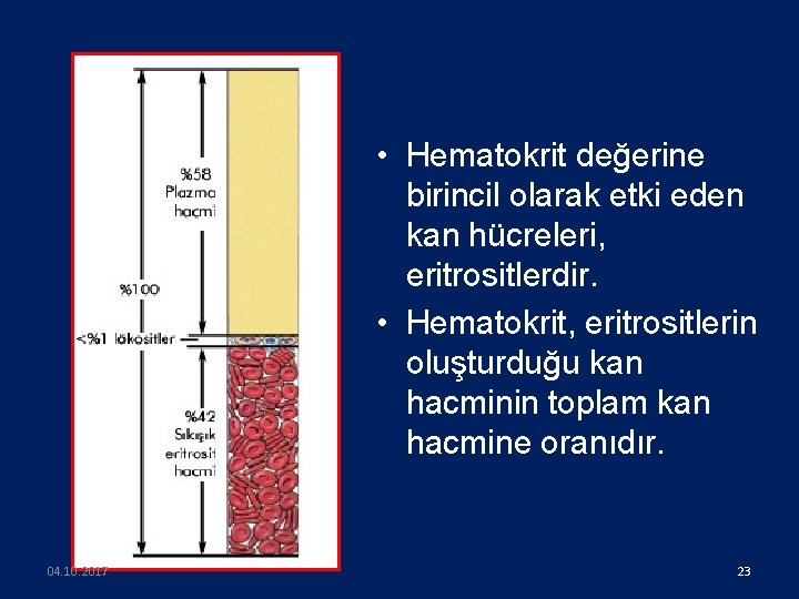 • Hematokrit değerine birincil olarak etki eden kan hücreleri, eritrositlerdir. • Hematokrit, eritrositlerin