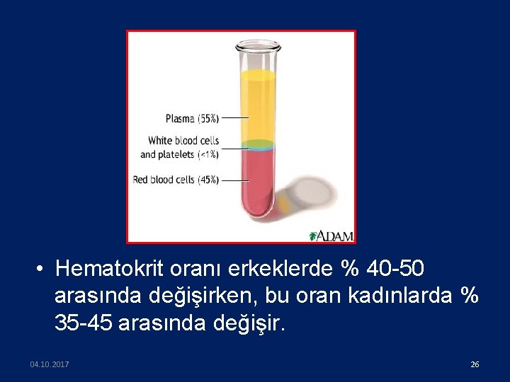  • Hematokrit oranı erkeklerde % 40 -50 arasında değişirken, bu oran kadınlarda %