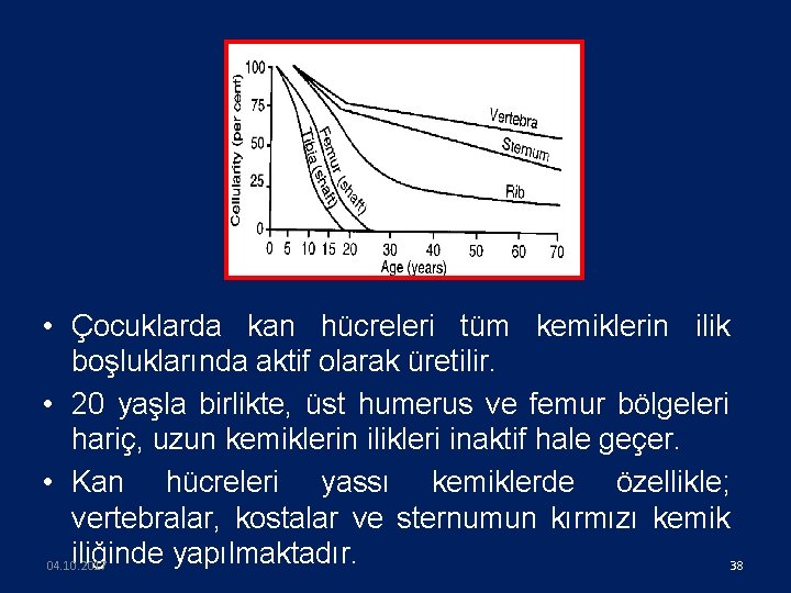  • Çocuklarda kan hücreleri tüm kemiklerin ilik boşluklarında aktif olarak üretilir. • 20
