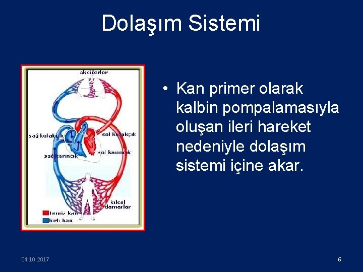 Dolaşım Sistemi • Kan primer olarak kalbin pompalamasıyla oluşan ileri hareket nedeniyle dolaşım sistemi